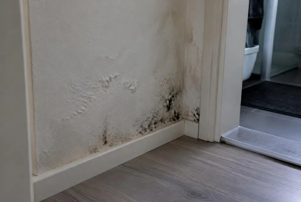 Lekdetectie Zaandam – vochtplek met schimmel op een muur